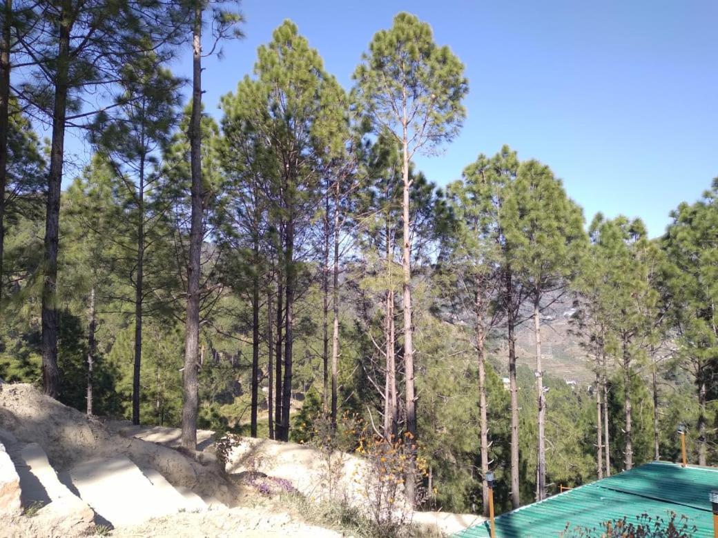 Nature Villaas Basa Homestay Pauri Exterior photo