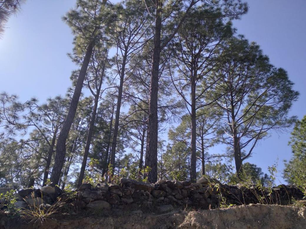 Nature Villaas Basa Homestay Pauri Exterior photo