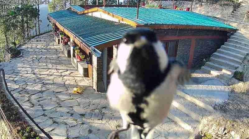 Nature Villaas Basa Homestay Pauri Exterior photo